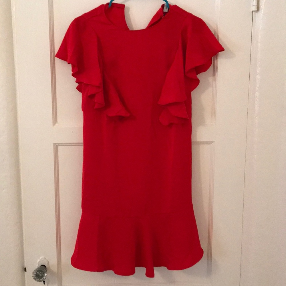 NWT Nasty Gal Wow Ruffle Dress